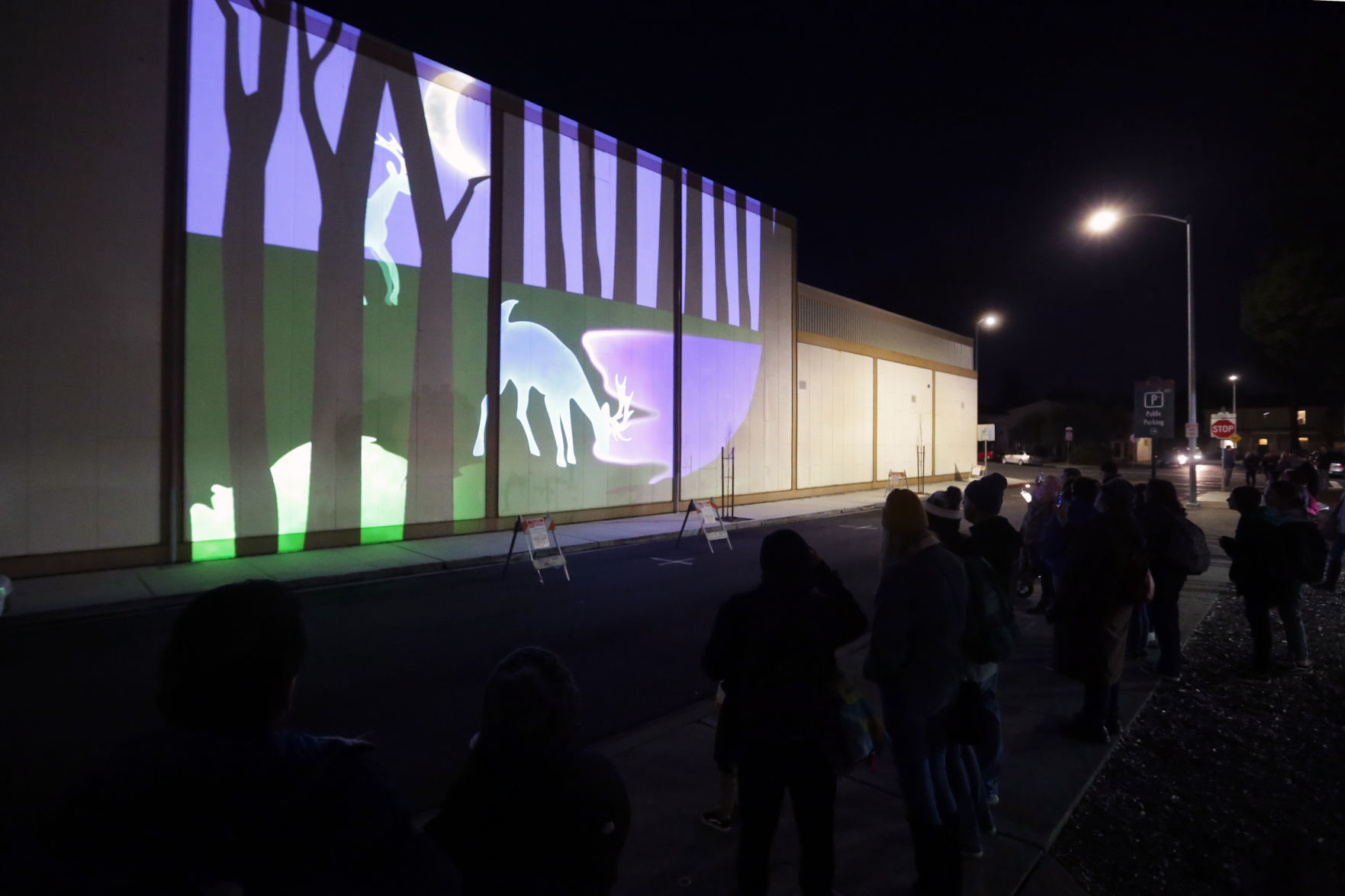 Napa Lighted Art Festival 2020